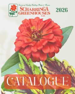 Scharringa 2026 Catalogue